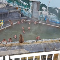 Hakodate Tropical Garden