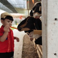 มาลัย ฟาร์ม ณ ดำเนินสะดวก