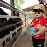 มาลัย ฟาร์ม ณ ดำเนินสะดวก