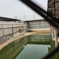 มาลัย ฟาร์ม ณ ดำเนินสะดวก