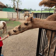 มาลัย ฟาร์ม ณ ดำเนินสะดวก