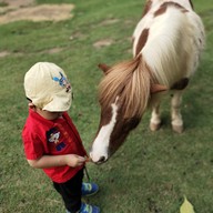 มาลัย ฟาร์ม ณ ดำเนินสะดวก