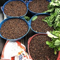 บ้านแมลงอ้อมน้อย