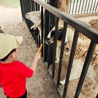 มาลัย ฟาร์ม ณ ดำเนินสะดวก