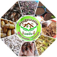 บ้านแมลงอ้อมน้อย