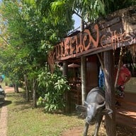 ควายคะนอง