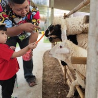 มาลัย ฟาร์ม ณ ดำเนินสะดวก