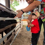 มาลัย ฟาร์ม ณ ดำเนินสะดวก