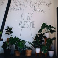 บรรยากาศ A Day Awesome