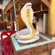 วัดป่าสัก