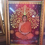 วัดป่าสัก