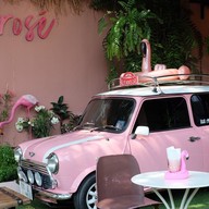 Frosé Yogurt Café