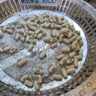 วัดป่าสัก