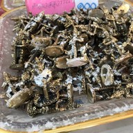 วัดป่าสัก