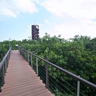 บรรยากาศ ป่าในกรุง