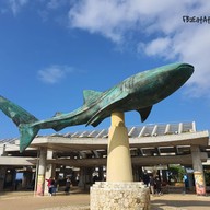 Okinawa Churaumi Aquarium