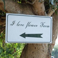 บรรยากาศ I love flower Farm