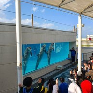 Okinawa Churaumi Aquarium