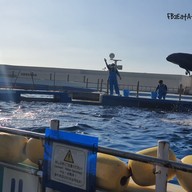 Okinawa Churaumi Aquarium