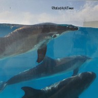 Okinawa Churaumi Aquarium