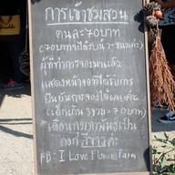 บรรยากาศ I love flower Farm