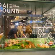 Gai Hound Organic Chicken Rice Central Plaza Ladprao