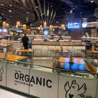 Gai Hound Organic Chicken Rice Central Plaza Ladprao