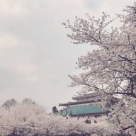 บรรยากาศ Wuhan University