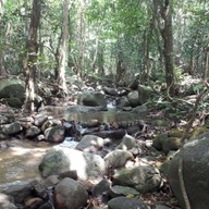 บรรยากาศ น้ำตกปากแจ่ม