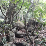บรรยากาศ น้ำตกปากแจ่ม