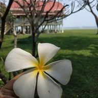 พระราชนิเวศน์มฤคทายวัน