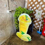 สดชื่น Milk & Fruit