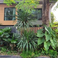 Nest By Sangob Hotel Bangkok