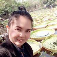บัวอมรรัตน์ พิษณุโลก