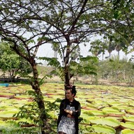บรรยากาศ บัวอมรรัตน์ พิษณุโลก