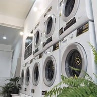 Wash•Dry•24 Hours