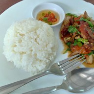 ต้นไทร