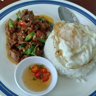 ต้นไทร
