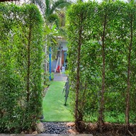 Amantra Homestay & Villege