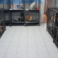 บรรยากาศ โรงพยาบาลสัตว์คนรักสัตว์