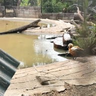 สวนสัตว์เปิดเขาค้อ