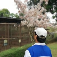 สวนสัตว์เปิดเขาค้อ