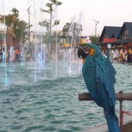 บรรยากาศ Pattani Bazaar