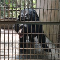 สวนสัตว์เปิดเขาค้อ