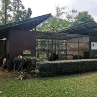 สวนสัตว์เปิดเขาค้อ