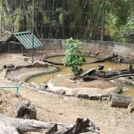 สวนสัตว์เปิดเขาค้อ