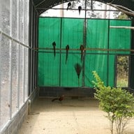 สวนสัตว์เปิดเขาค้อ