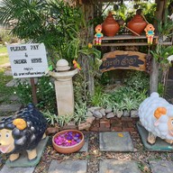 แกะดำฉำฉา