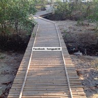 คุ้งบางกระเจ้า