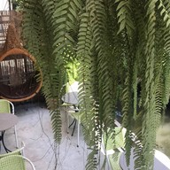 The Peace Cafe x Hostel